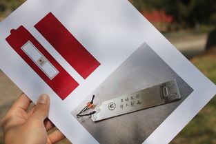 广告策划与设计在校园文化产品开发中的创新应用与网络技术服务的协同价值